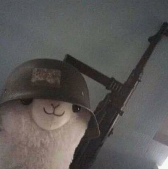 angelmora216